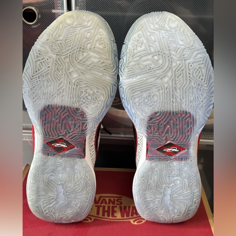LeBron James 20 - Picture 5 of 5